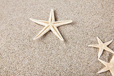 怒之铁拳Like动作游戏《最终复仇》现已上市